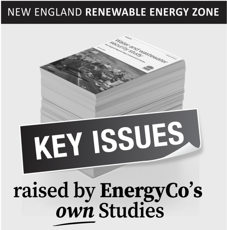 EnergyCo Key Issues Jan 2026
